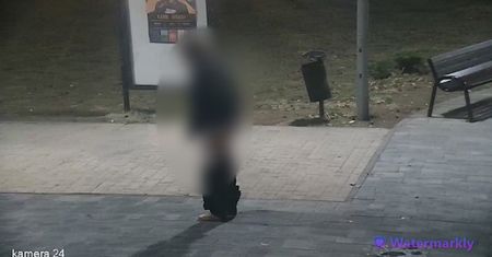 Nieobyczajne zachowanie w parku. Kamery wszystko nagrały