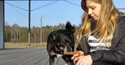 Duży producent karmy chce zamknąć fabrykę. Planuje nową poza Europą
