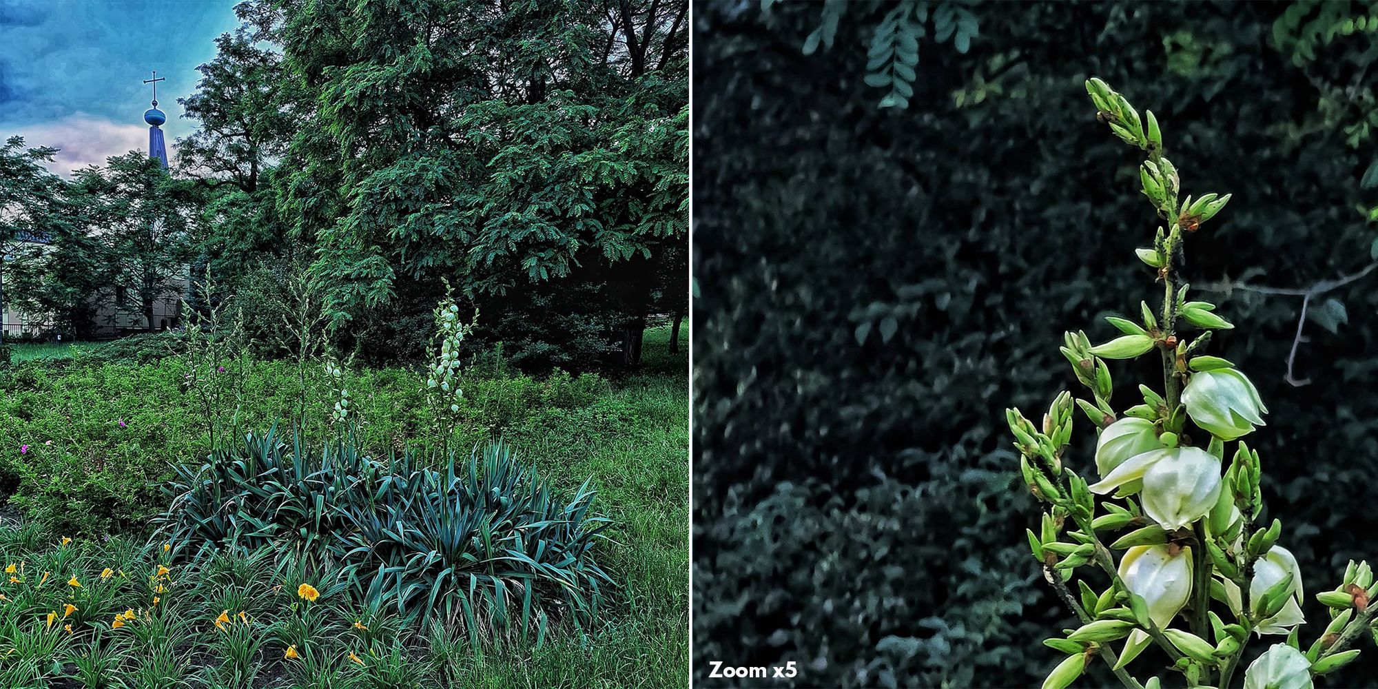 Zadbaj o swój Instagram! Tygodniowy kurs fotografii bez ruszania się z domu 12