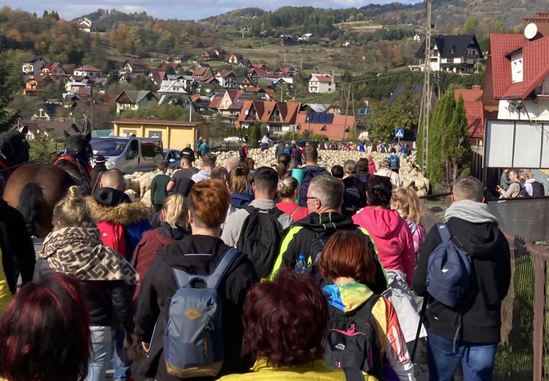 W tym roku istne szaleństwo w górach. 100 proc. miejsc wyprzedanych na jeden termin