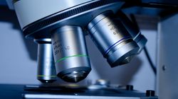 Czynniki krzepnięcia - charakterystyka, opis badania, interpretacja wyników, nieprawidłowości