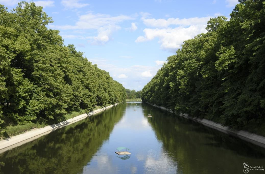 Warszawa. Ponad 20 nowych tratw dla ptaków wodnych. "Służą im jako miejsce do gniazdowania i spoczynku"