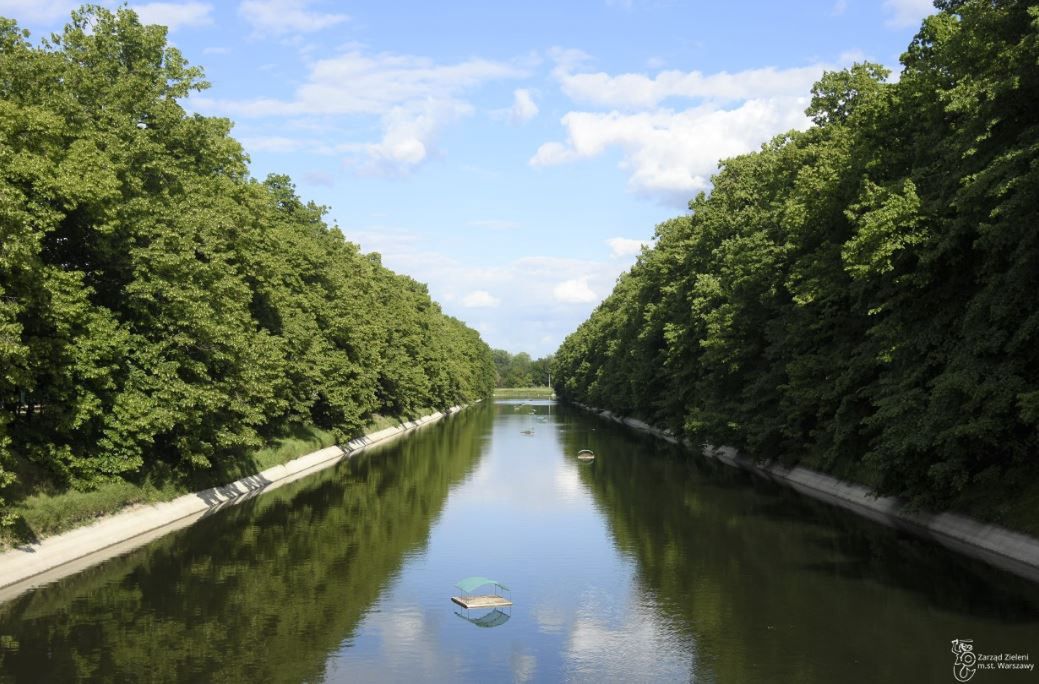 Warszawa. Ponad 20 nowych tratw dla ptaków wodnych. 