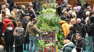 Tarnobrzeg: Już niebawem odbędzie się Festiwal Roślin