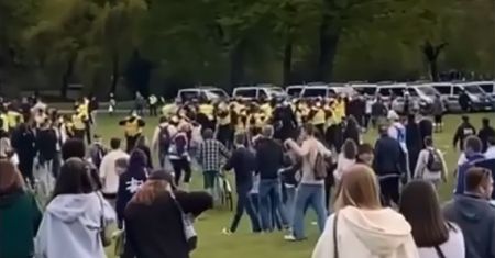 Zaczęło się od ataku na 14-latkę. Dantejskie sceny w parku w Niemczech