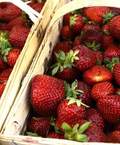 Truskawki zakażone wirusem pojawiły się w polskich sklepach. GIS komentuje