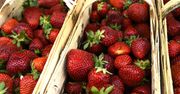 Truskawki zakażone wirusem pojawiły się w polskich sklepach. GIS komentuje