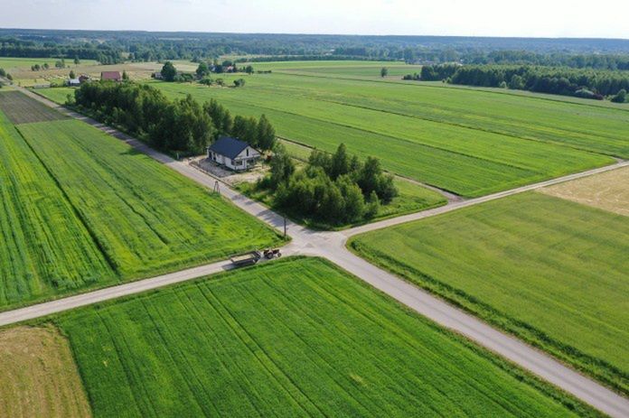Ile kosztuje hektar ziemi rolnej? Najnowsze dane GUS