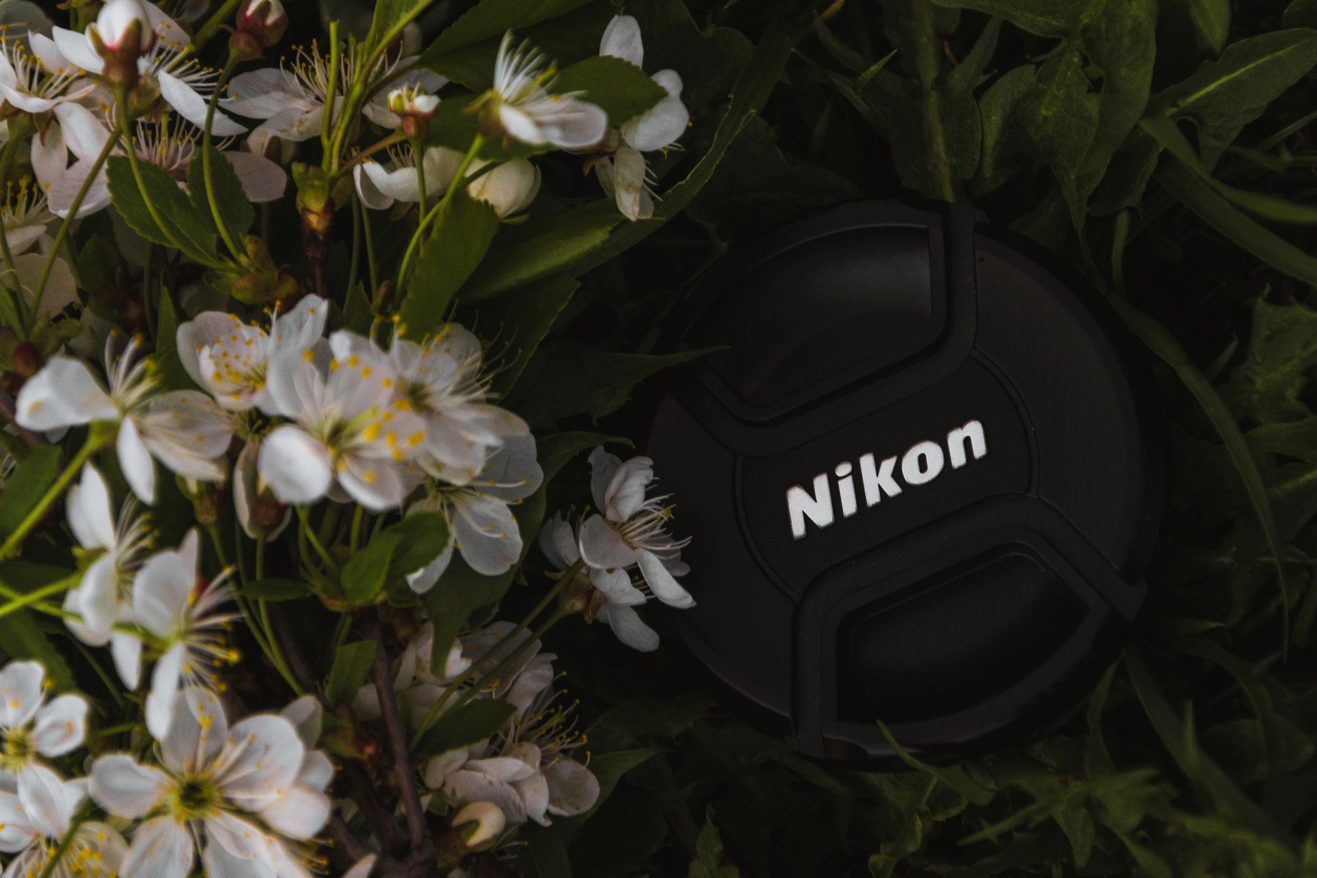 Nikon kończy z międzynarodowym systemem gwarancji na rzecz lokalnych oddziałów 1