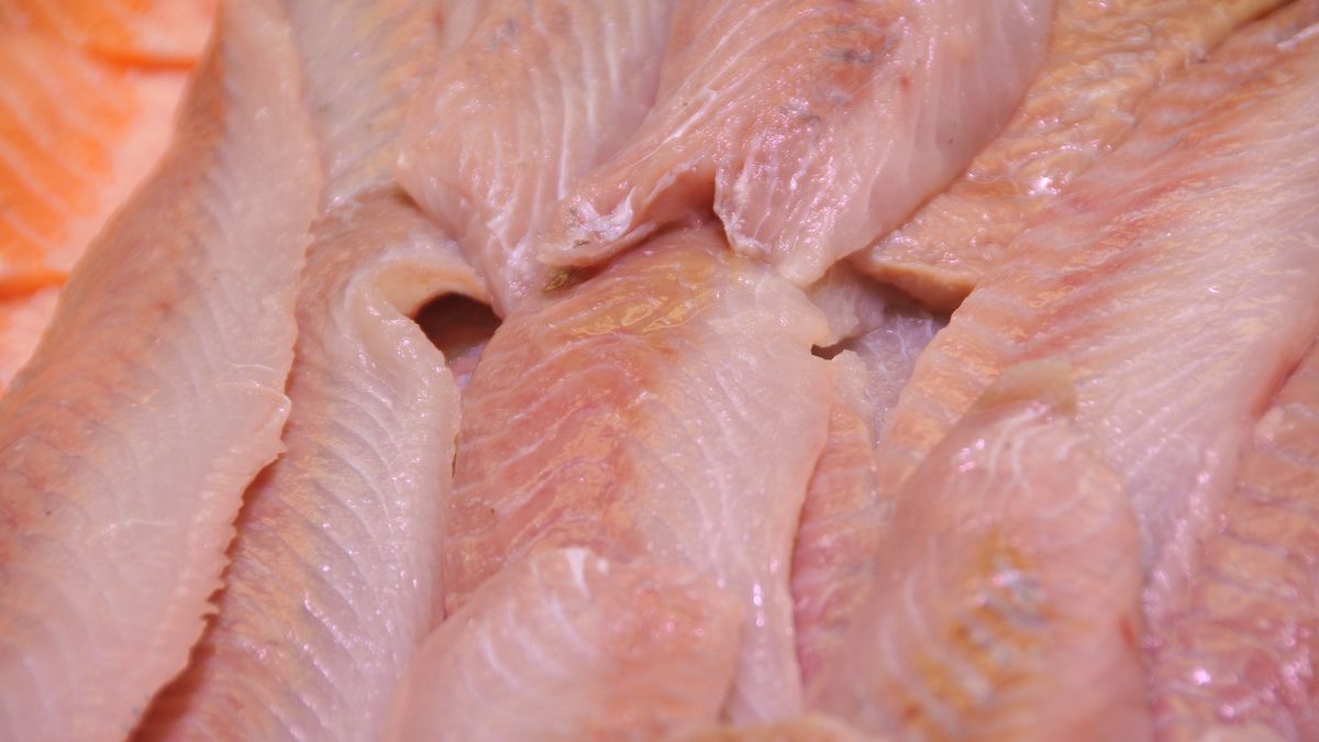 To jedna z najzdrowszych ryb