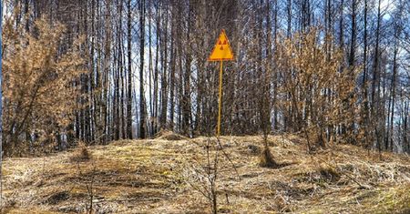 Rosjanie robią okopy w Czerwonym Lesie. "Promieniują sami siebie"