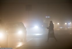 IMGW wydaje ostrzeżenia. Północ Polski objęta alertem przed gęstymi mgłami