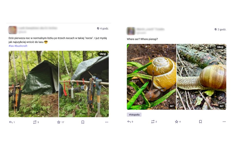 Ile przetrwałbyś na platformie bez lajków?