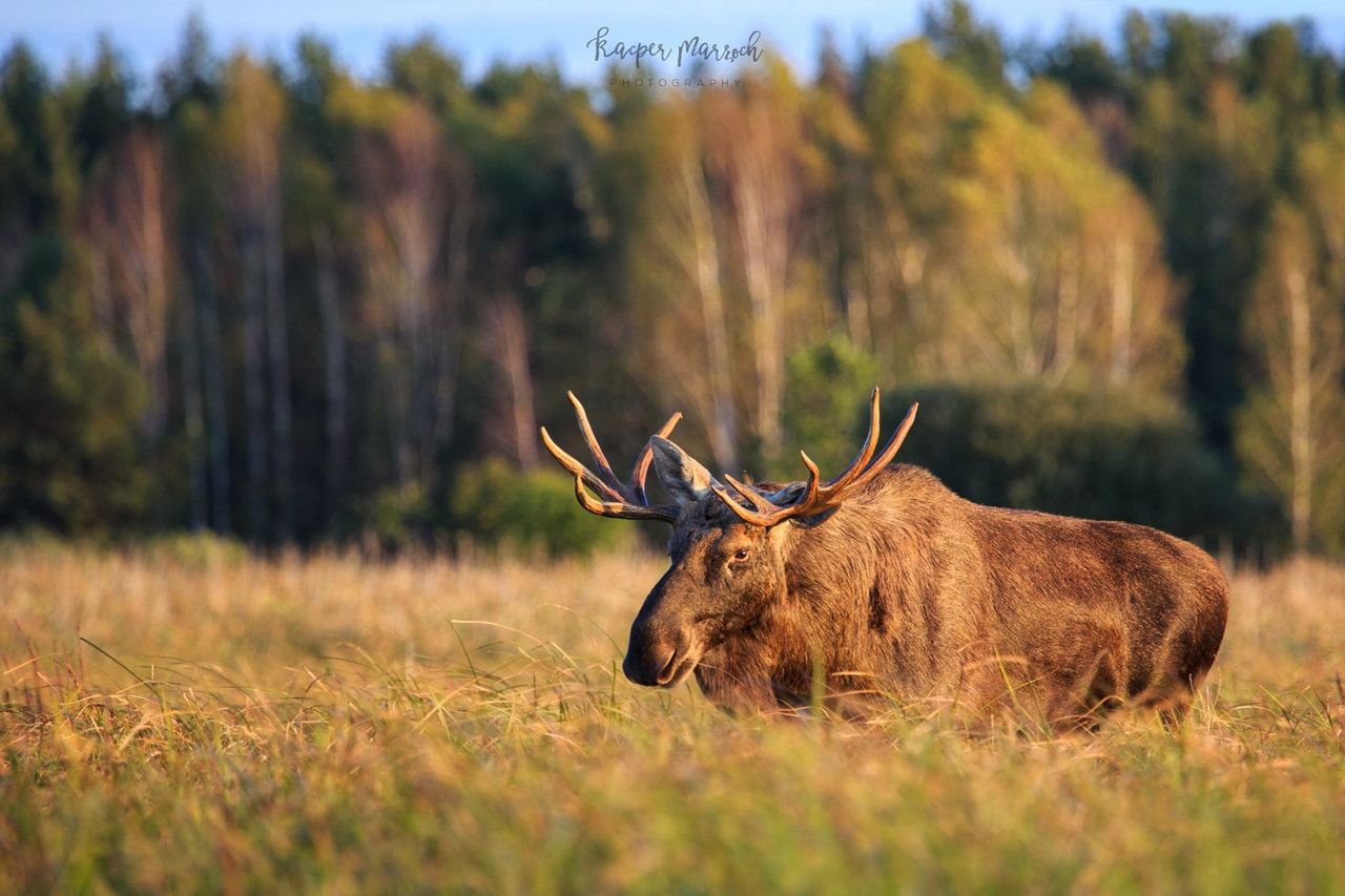 Chyba nie zawsze wszystko się udaje? Jaka jest twoja największa fotograficzna porażka?