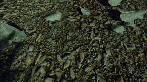 Odpicuj swojego Crysisa 1