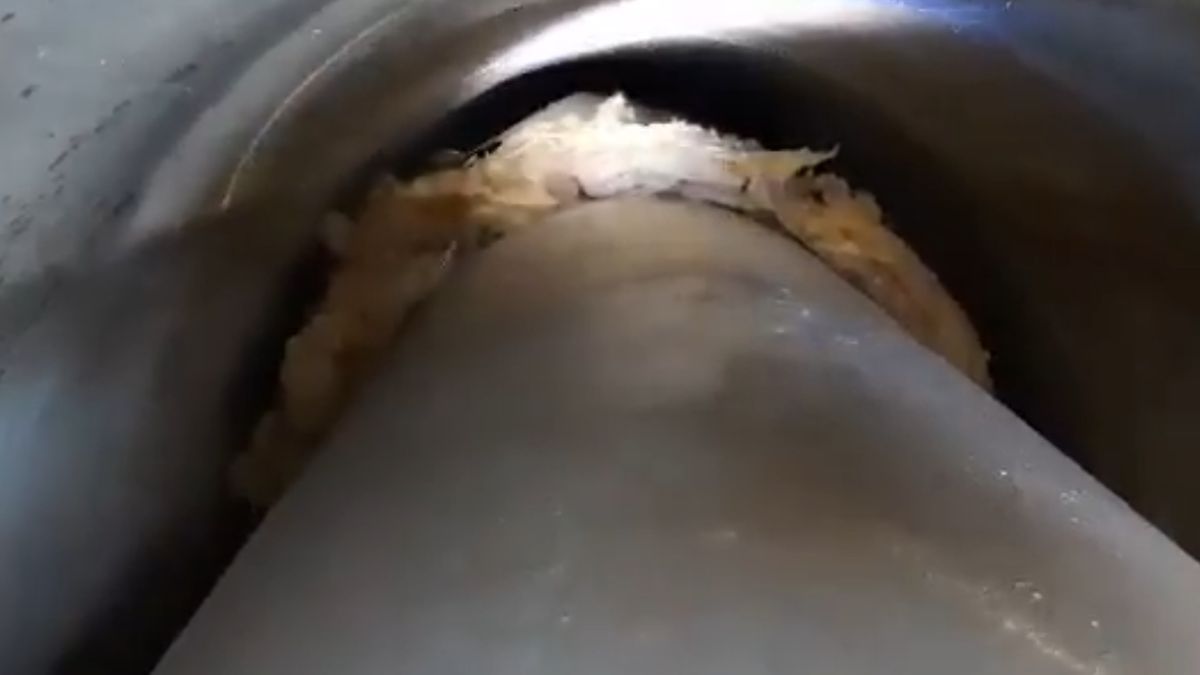  Straż i MPEC już drugi dzień próbują wyciągnąć kotka 