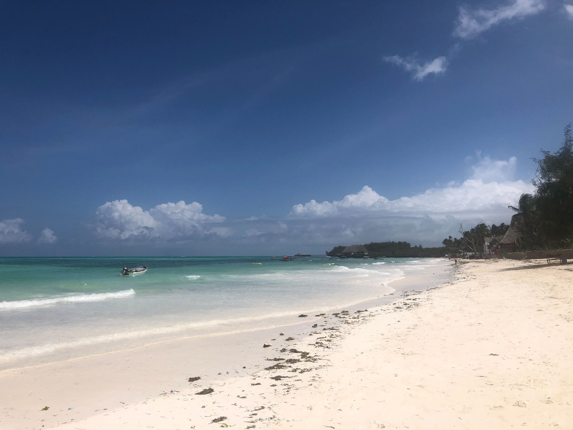 Zanzibar zachwyca plażami 