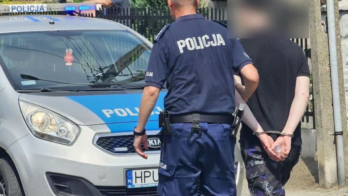 Gniezno: Rabuś ukradł rower 13-latkowi. Pomógł przechodzień