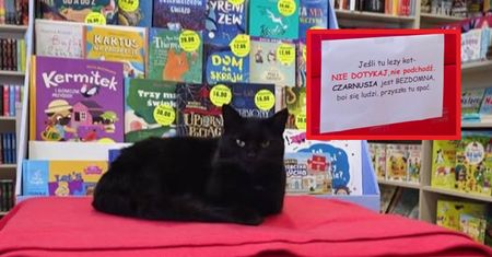 Zawiesili kartę w księgarni. Nietypowa prośba do klientów. "Nie podchodź"