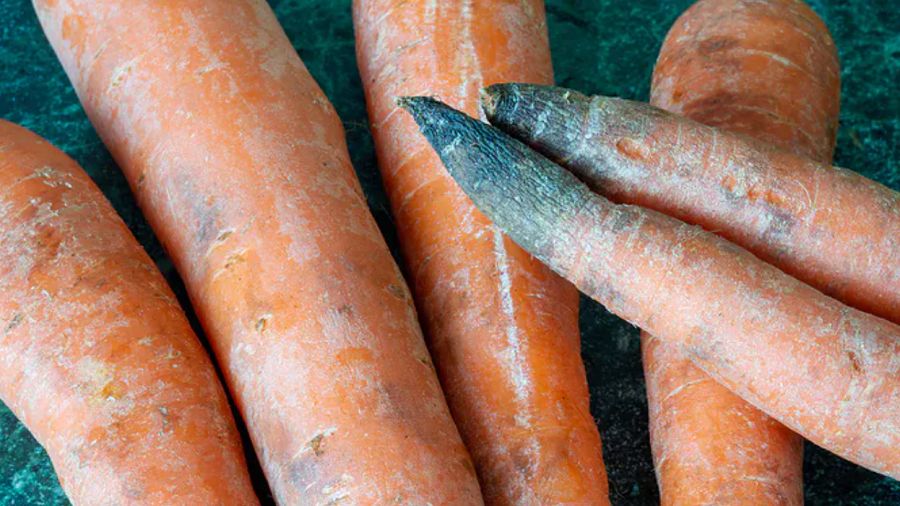 Spleśniałe produkty trzeba od razu wyrzucić