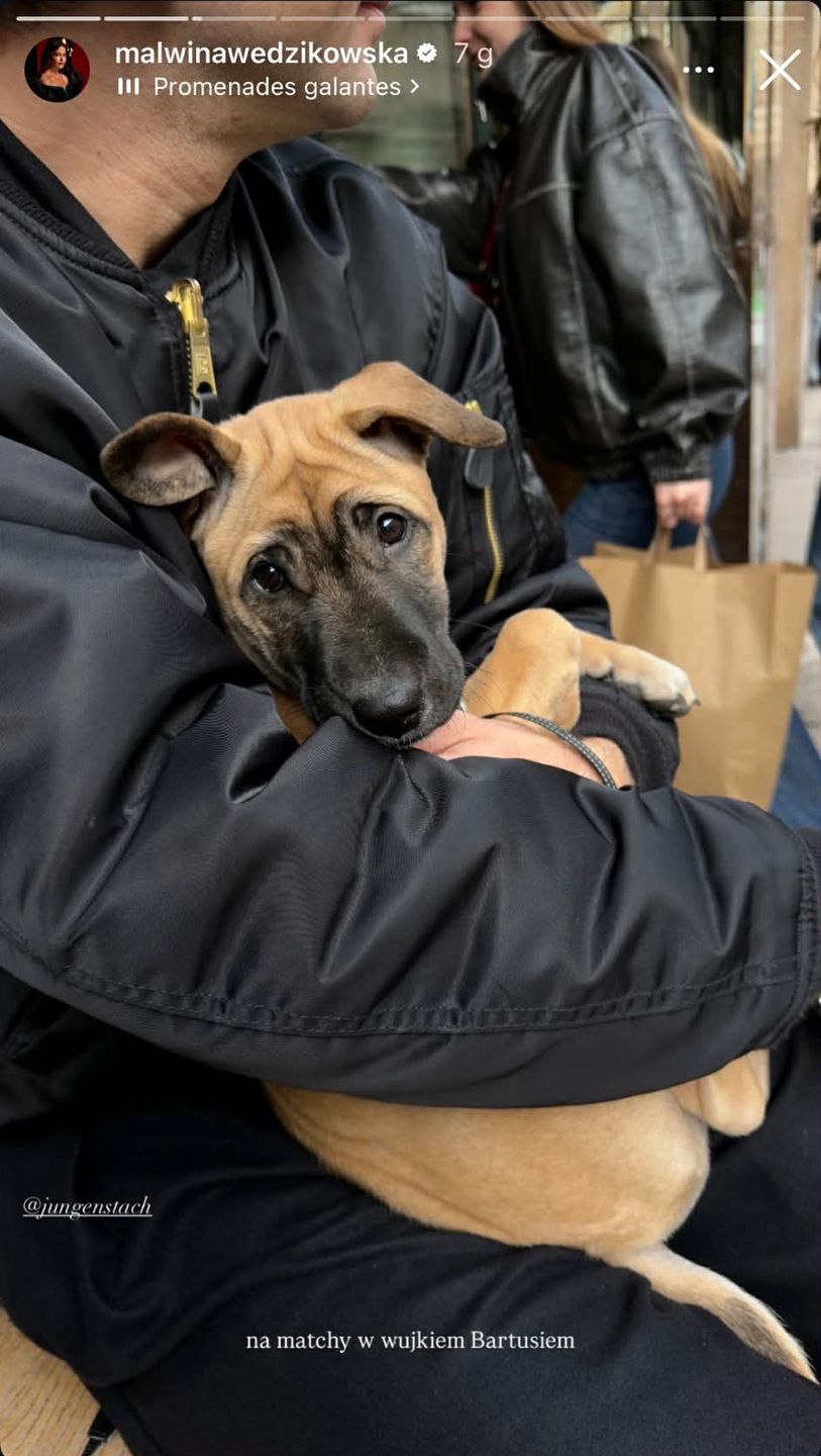 Malwina Wędzikowska