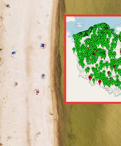 Sinice Bałtyk 2023. Zakaz kąpieli nie tylko nad morzem