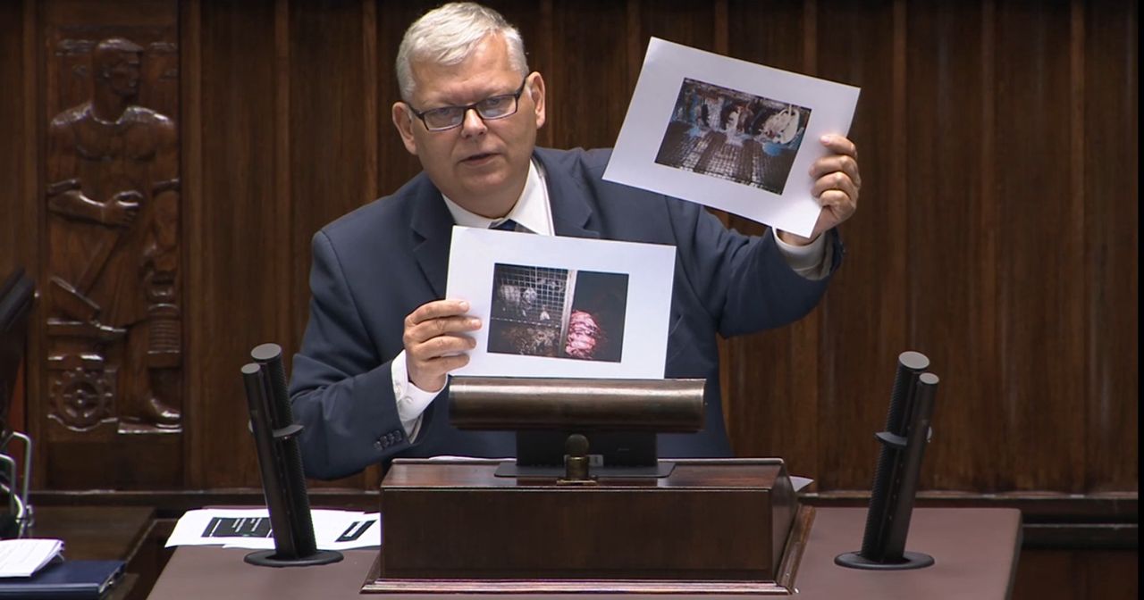 Piątka dla zwierząt. Marek Suski (PiS) podczas debaty w Sejmie