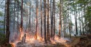 Syberyjskie miasto odnotowało temperaturę 38 stopni C. To rekord Arktyki