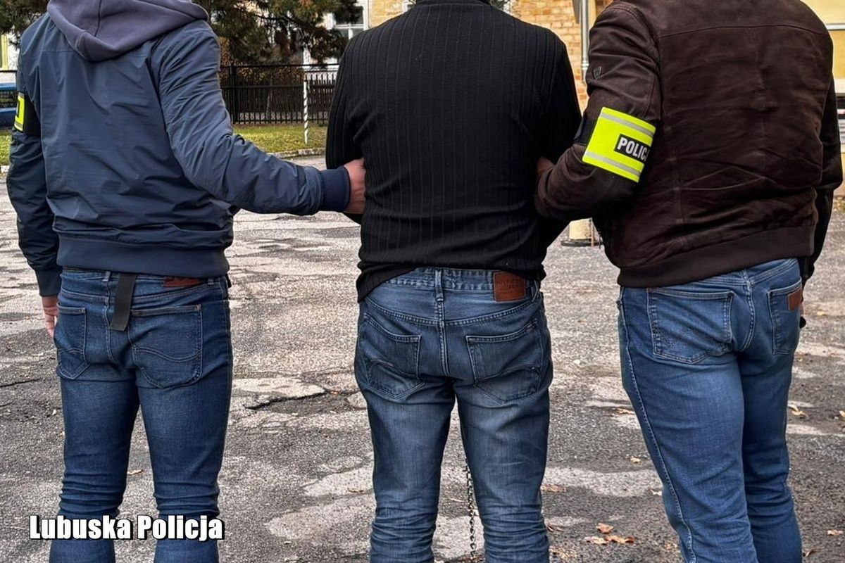 Sulechów: Przyszedł robić remont, a ukradł niemal 59 tys. zł