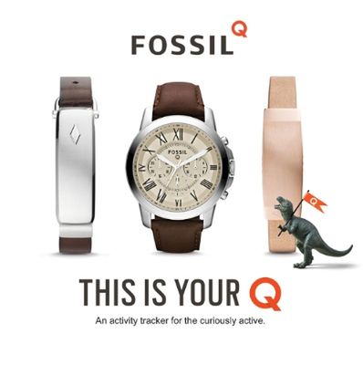 Fossil Q Reveler, Q Grant oraz Q Dreamer