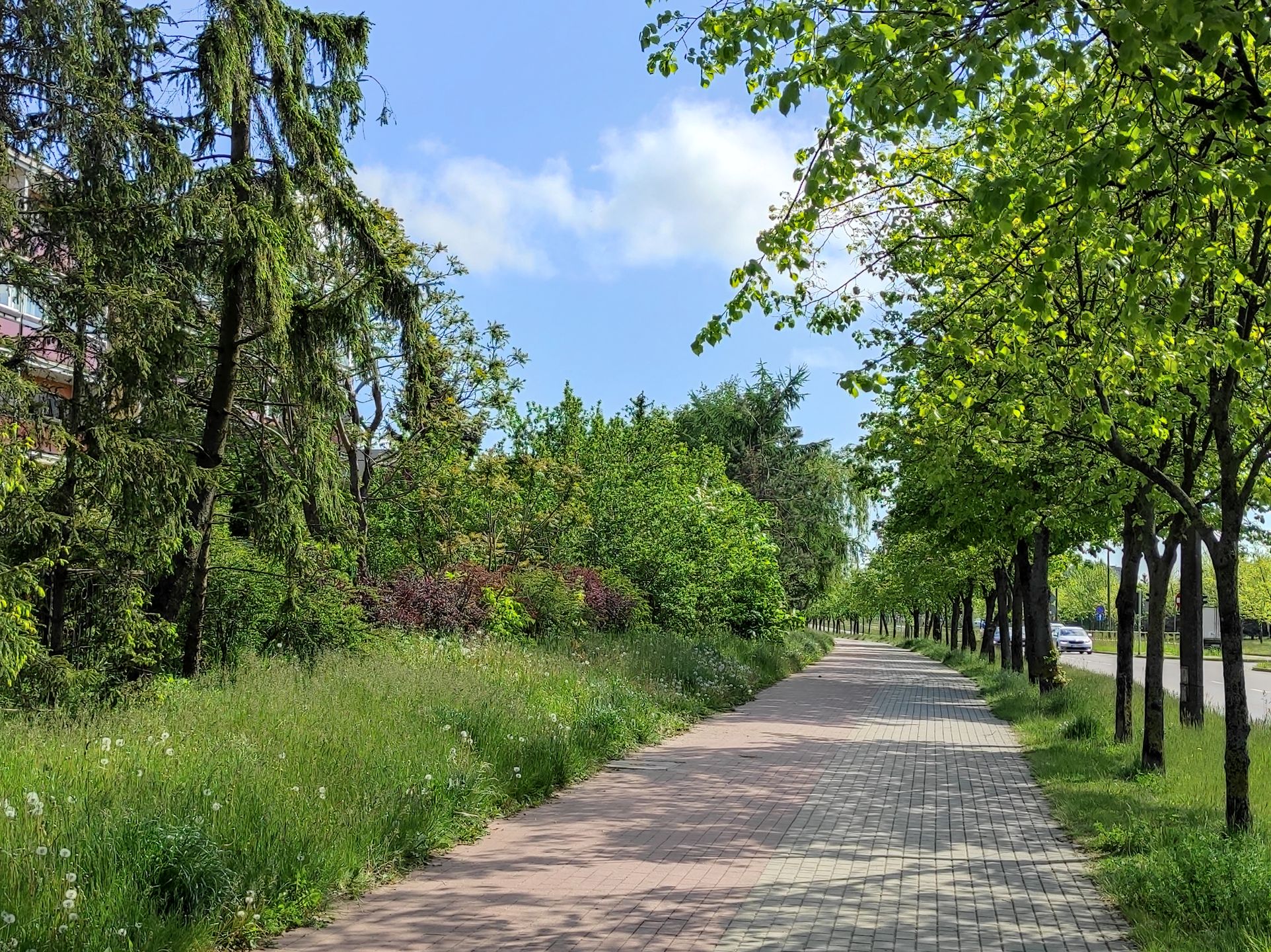 Redmi Note 9 Pro: pierwsze wrażenia. Czuć potencjał 15