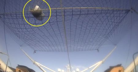 SpaceX nagrało, jak łapie czubek rakiety Falcon 9 na środku oceanu