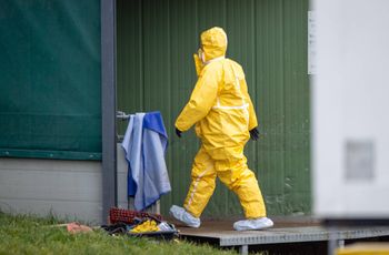 Podrzucony dzik z ASF w Polsce. "Nie wykluczamy sabotażu"