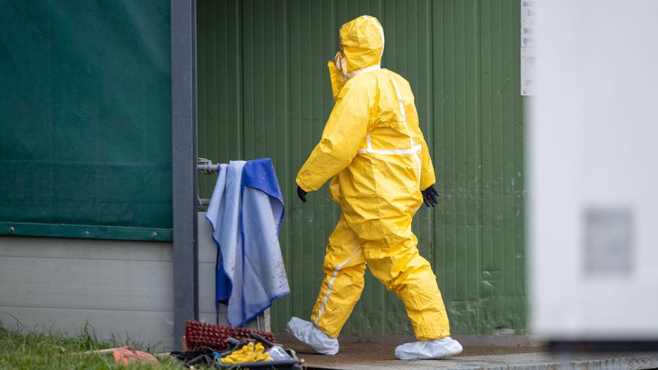African swine fever in Mecklenburg-Western Pomerania
17 November 2021, Mecklenburg-Western Pomerania, Vogelsang: An employee in a protective suit is on the move on the premises of the pig farm affected by African swine fever. The technical equipment for killing the more than 4,000 pigs is being set up. The first outbreak of African swine fever in Mecklenburg-Western Pomerania has occurred at the facility. As a reaction to the outbreak of ASF in the livestock in the Rostock district, all animals must now be killed and disposed of. Photo: Jens B�ttner/dpa-Zentralbild/dpa 
Dostawca: PAP/DPA.
Jens B�ttner
Animals, Swine fever, ASP, Animal Killing, Animal disease, African swine fever
