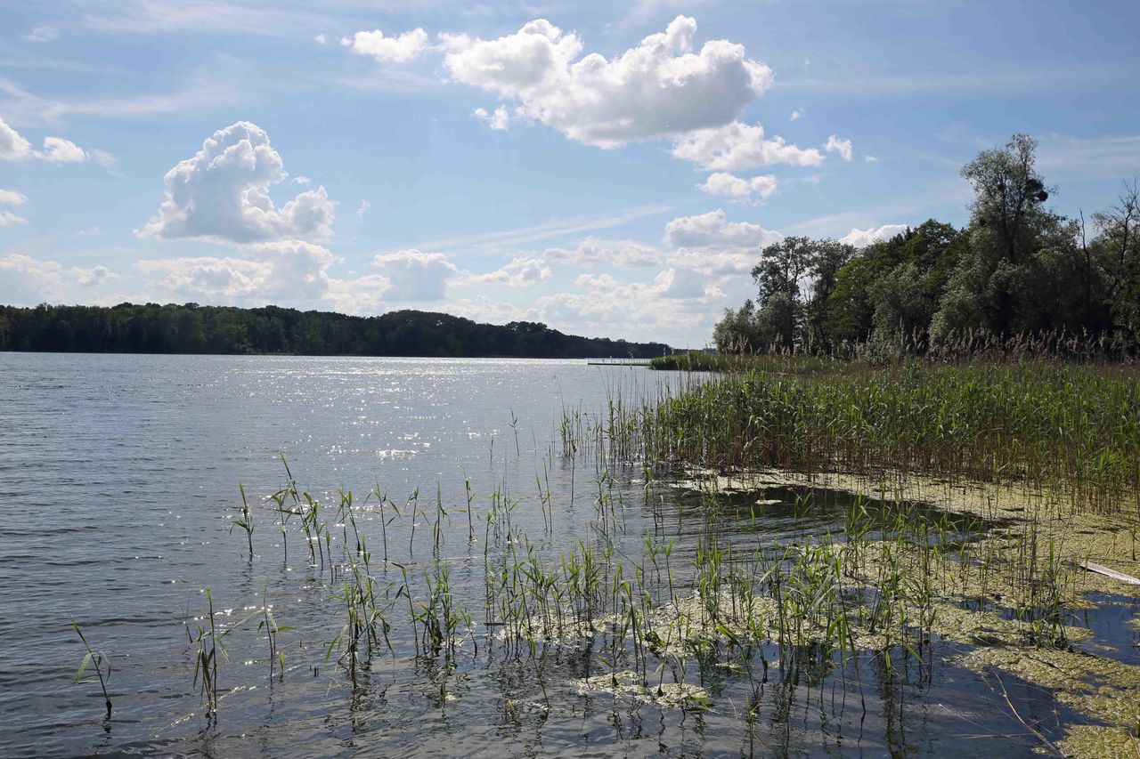 Brodnica. Z jeziora Niskie Brodno wyłowiono ciało 43-latki (zdjęcie ilustracyjne)