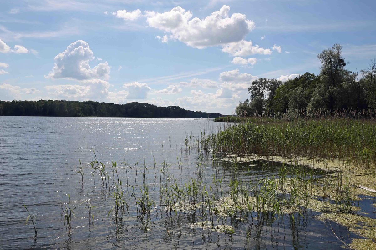Brodnica. Z jeziora Niskie Brodno wyłowiono ciało 43-latki (zdjęcie ilustracyjne)