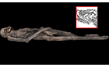 Syberyjskie tatuaże. Na mumii sprzed 2 tysięcy lat