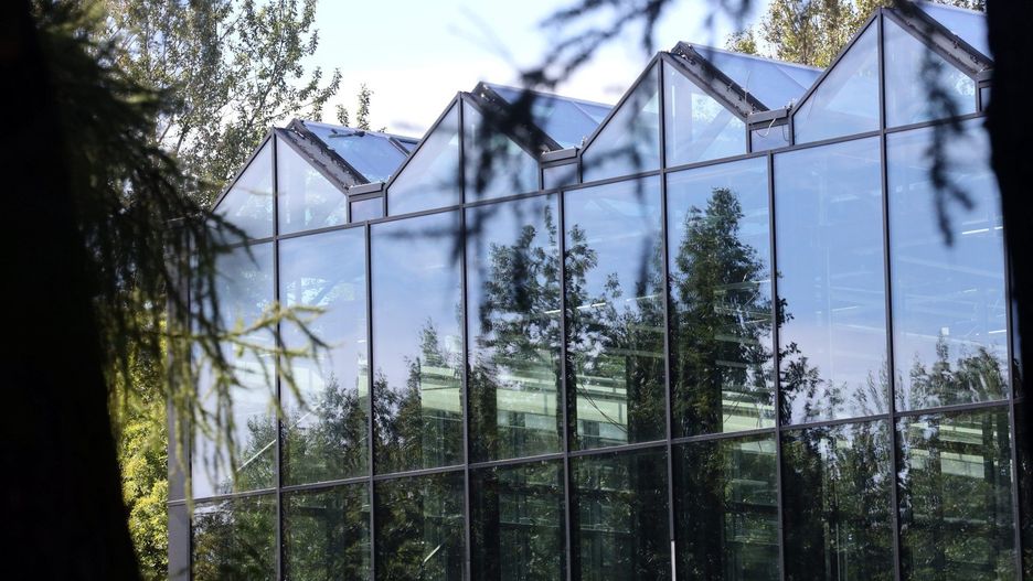 Ogród Botaniczny w Zabrzu