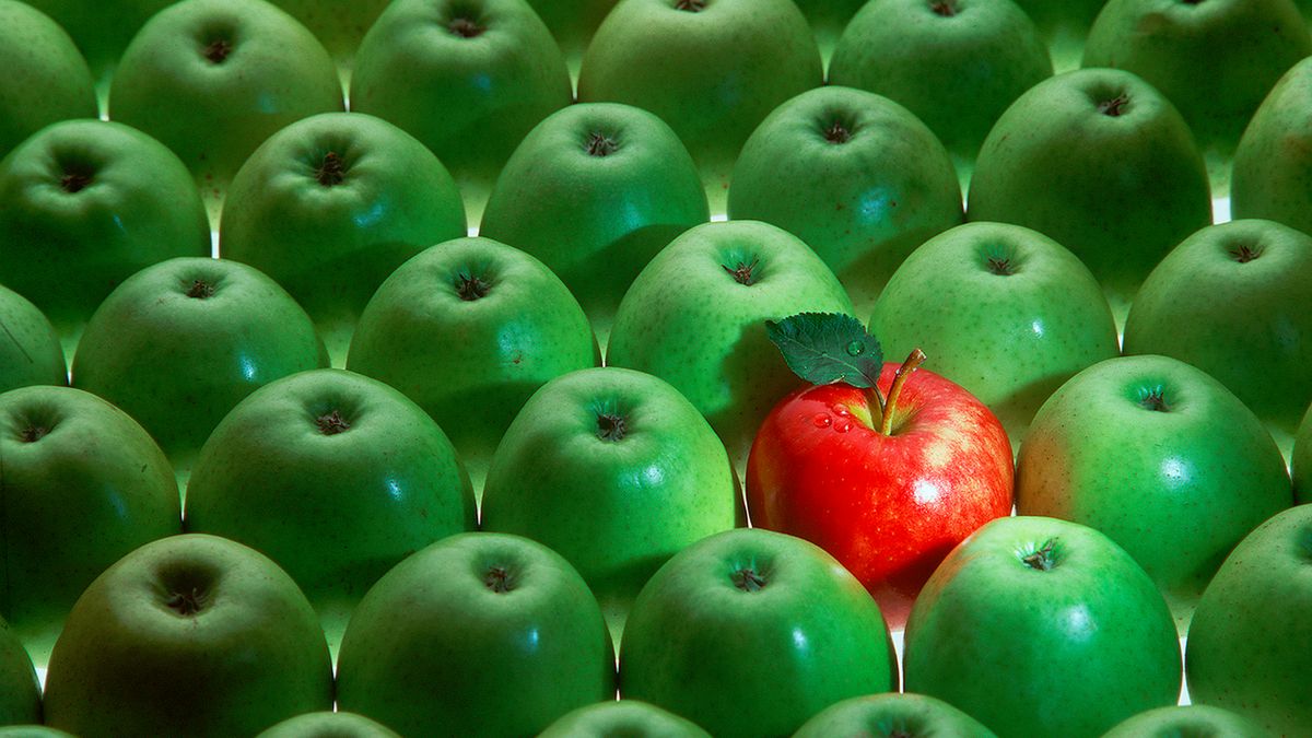 Jabłka to jedne z najzdrowszych owoców