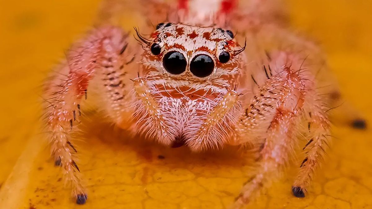 Wystarczy ci tylko smartfon. Ty też możesz zrobić takie zdjęcia! 1