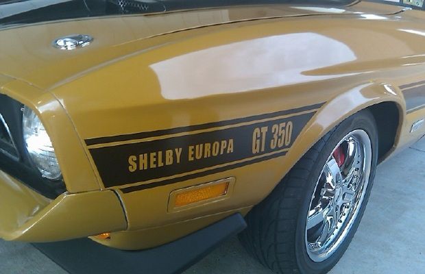 1971 Shelby Europa - wersha Shelby, która w liczbie 14 egzemplarzy trafiła do Europy