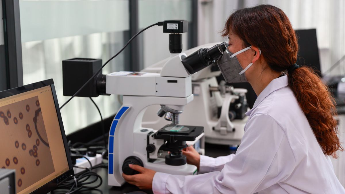 XINING, CHINA - MAY 22: A technician tests the properties of carbon fiber at Zhongfu Shenying Carbon Fiber Xining Co., Ltd. on May 22, 2025 in Xining, Qinghai Province of China. (Photo by Xue Di/China News Service/VCG via Getty Images)