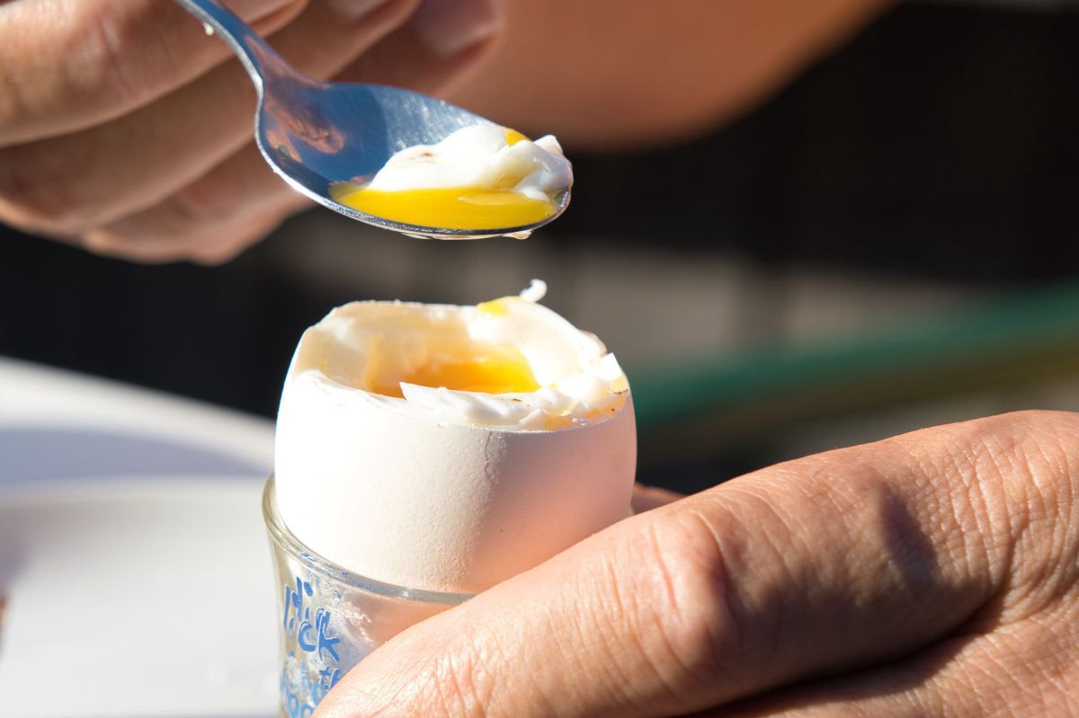 Eggs with benefits: A balanced path to health and weight loss