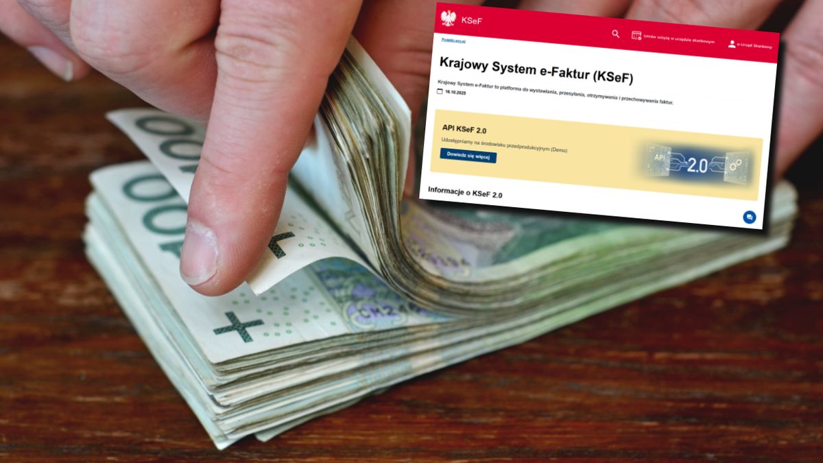 Nadchodzi rewolucja dla przedsiębiorców. Na zdjęciu zrzut ekranu ze strony internetowej Krajowego Systemu e-Faktur