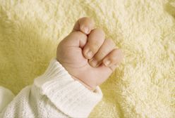 Dziewczynka zmarła, rodzice byli pijani. Tragedia w Legnicy