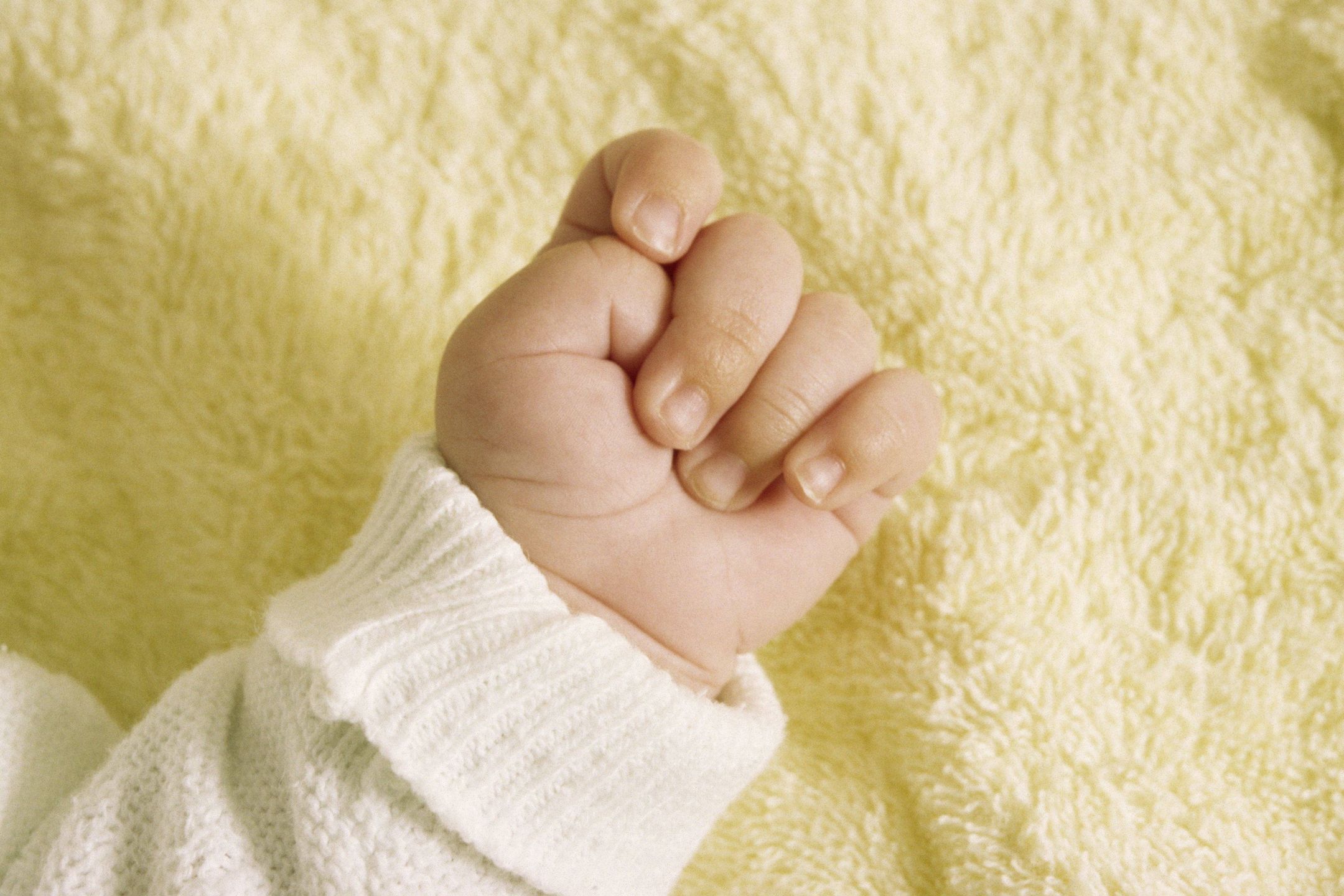 Hand of a BabyHand of a Baby  
Dostawca: PAP/DPARolf W. Hapke / CHROMORANGEBaby, care needy, child, cute, dziecko dzieci, Faust, fist, growth, Hand, H�ndchen, helpless, hilflos, infant, Kind, klein, Kleinkind, Leben, life, little, male, mensch, niedlich, people, reka raczka dlon niemowle, S�ugling, Schutz, schutzbed�rftig, Wachstum