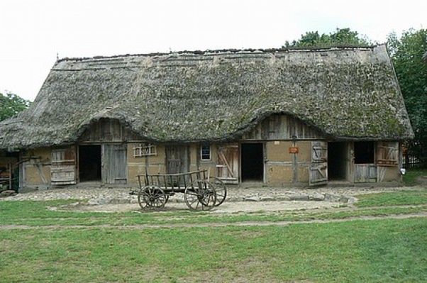 Obraz