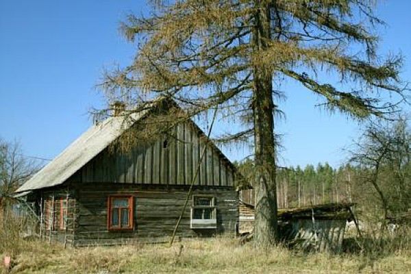 Obraz