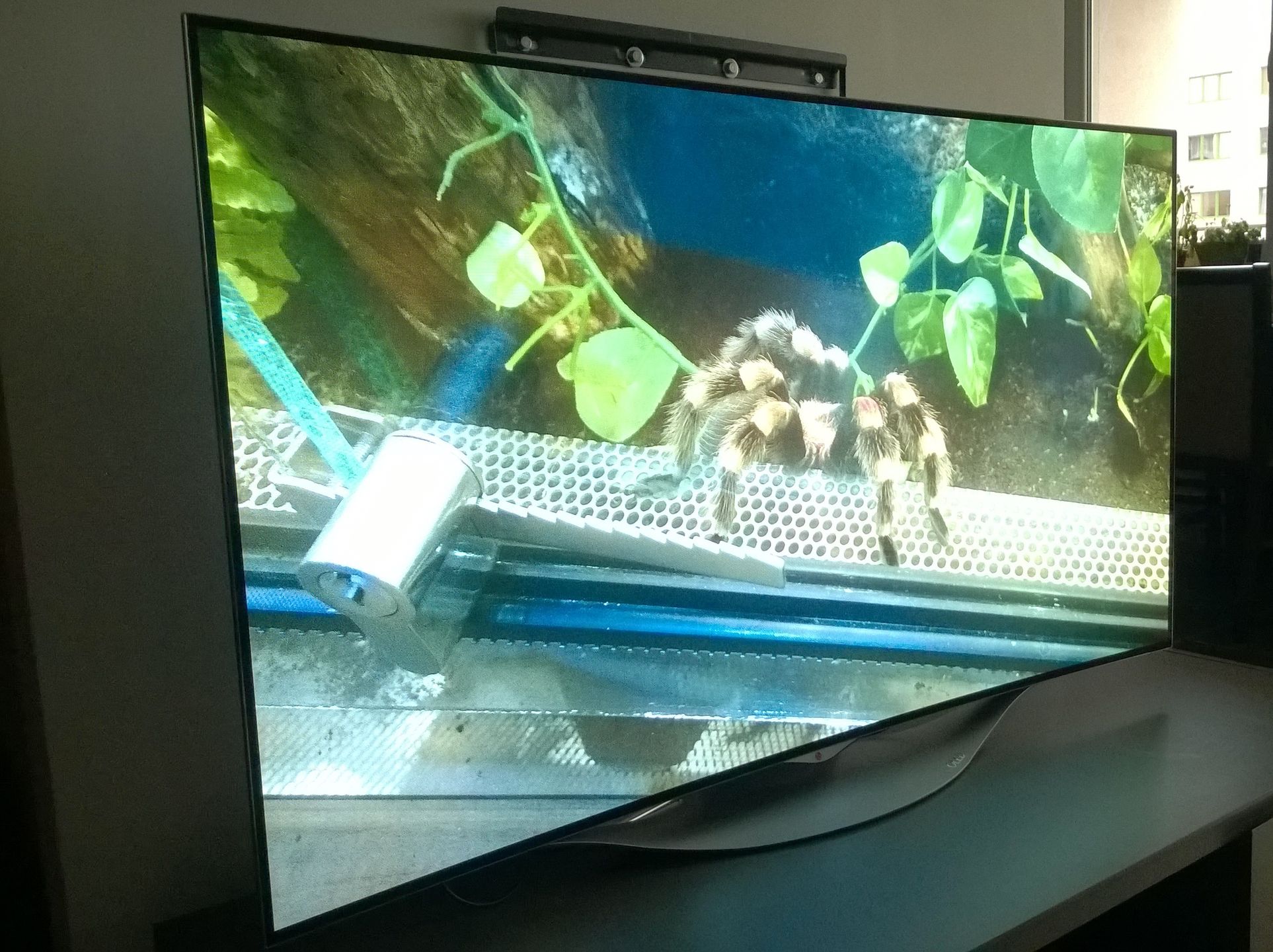 Prywatne kino w Twoim domu? Testujemy zakrzywiony, 55-calowy LG OLED TV 4