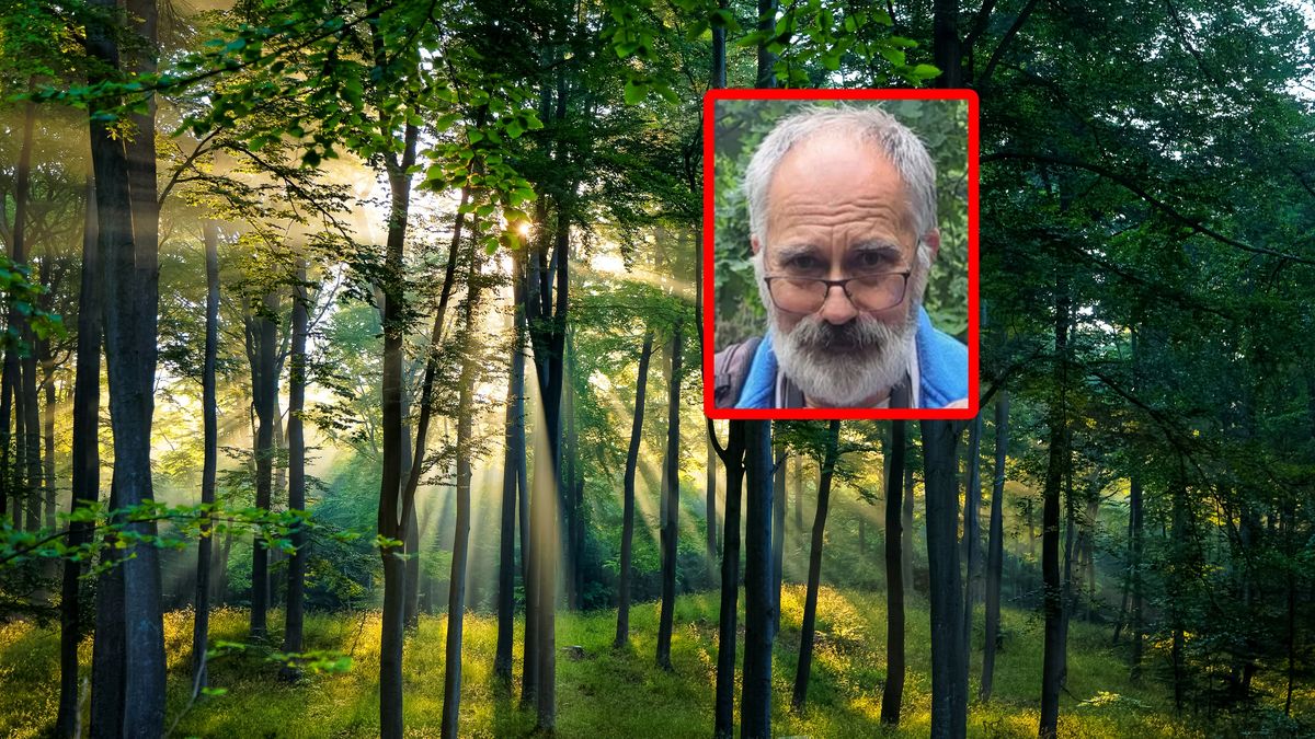 Wiesław Kamiński mówi o sytuacji w lasach.